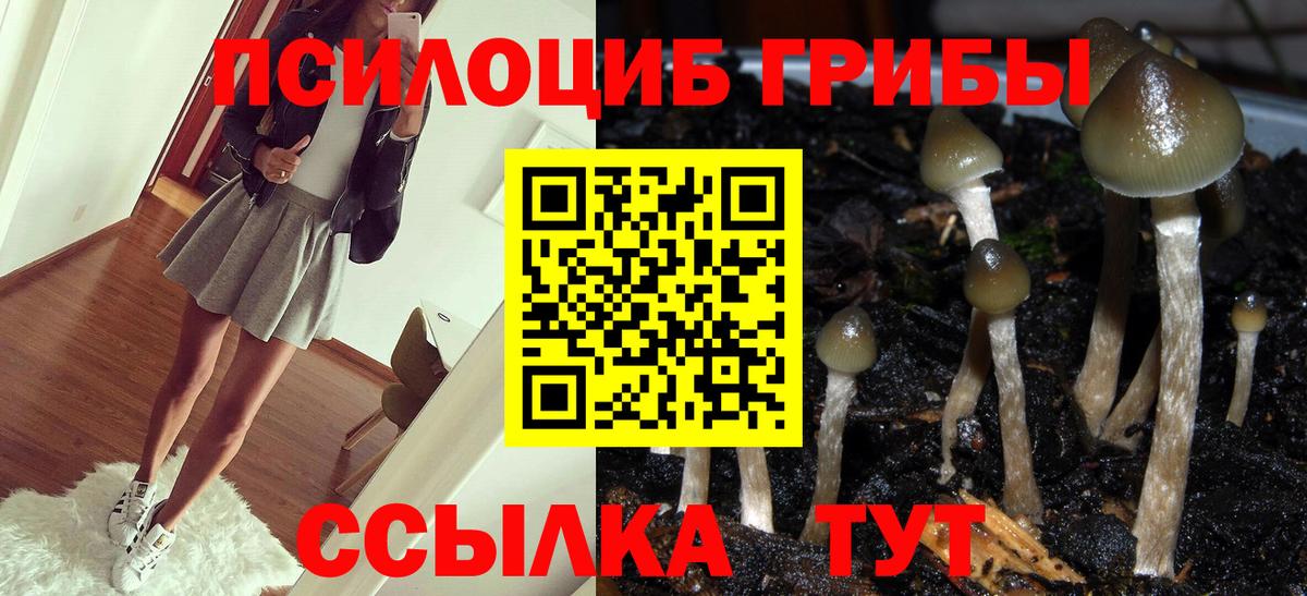 Галлюциногенные грибы Psilocybine cubensis  Вход с VPN  Новороссийск 